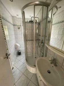 a bathroom with a shower and a sink at Haus und Garten nur für Dich in Duderstadt
