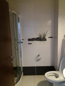 ein Bad mit einer Dusche und einem WC in der Unterkunft Lucia Apartment in Budva