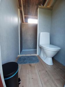 a bathroom with a toilet and a blue rug at Hemma fran Hemma - Tipi Glamping in Kvillsfors +33 photos