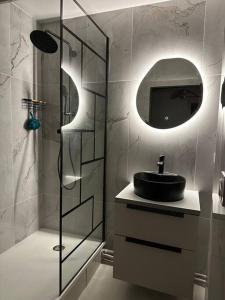 a bathroom with a sink and a shower with a mirror at Charmant Appart Métro Proche Confort in Bagnolet