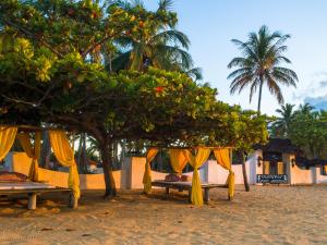 uma cama de dossel na praia debaixo de uma árvore em Hotel Marina Porto Abrolhos em Caravelas