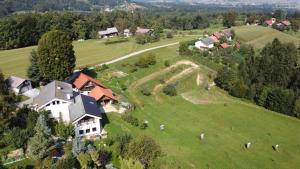 una vista aérea de una casa en un campo verde en Turistična kmetija Izgoršek, 