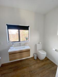 a bathroom with a toilet and a sink and a window at Springvale Apartment in Alexandra