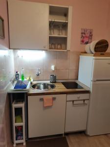 a small kitchen with a sink and a refrigerator at Apartments Jakobina in Brodarica