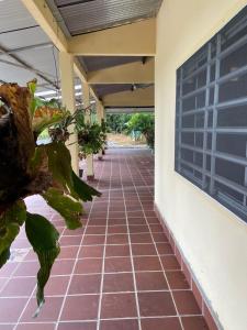 un porche de un edificio con una planta arbolada en Casa finca Caracolí, en Acacías