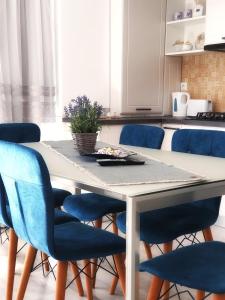 a kitchen with a table and blue chairs at Minas Dream in Floreşti