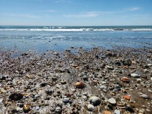 Naturlandskabet i nærheden af lejligheden + 20 billeder
