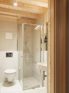 ein Bad mit einer Dusche, einem WC und einem Waschbecken in der Unterkunft Mondholz - Urban Inn 24-7 in Innsbruck