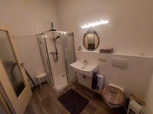 ein Bad mit einer Dusche, einem Waschbecken und einem Spiegel in der Unterkunft Ferienbungalow "Outdoor" in Bad Schandau