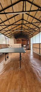 a ping pong table in a large room with wooden floors at Vila Denisa in Bran
