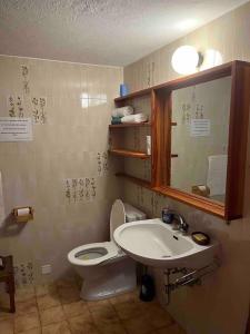 y baño con aseo, lavabo y espejo. en Appartamento accogliente di montagna a Cavagnago, en Faido