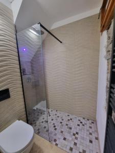 ein Bad mit einem WC und einer Dusche in der Unterkunft Il Rustico in Maccagno Superiore