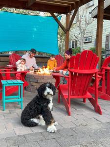 Anchor Inn Resort في مدينة لينكولن: كلب يجلس أمام النار