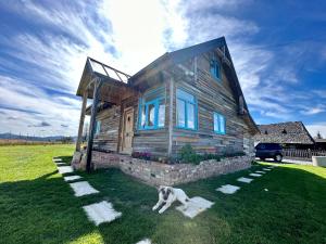 a dog laying in the grass in front of a house at Casuta din Balcesti in Bălceşti