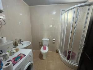 uma casa de banho com um chuveiro, um WC e um lavatório. em Aile Dağ evi em Arsin