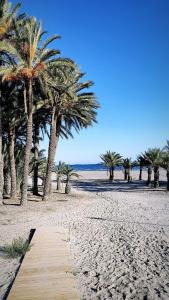 un chemin en bois sur une plage bordée de palmiers dans l'établissement Appartement cosy à 100m de la mer, à Santa Pola