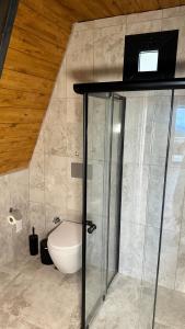 W łazience znajduje się toaleta i przeszklony prysznic. w obiekcie Kartal Yuvası Tatil Köyü w mieście Trabzon