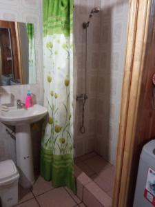 y baño con cortina de ducha y lavamanos. en Cabaña Beatriz, en Coñaripe