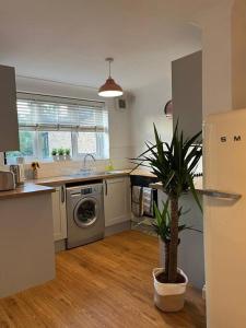 eine Küche mit Topfpflanze in einer Küche in der Unterkunft Chic 2 bedroom cottage in Willingham