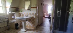 ベシーヌ・シュル・ガルトンプにあるChambres d'Hôtes-Château Constantのバスルーム(シンク、鏡、シャワー付)