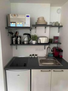 a kitchen with a sink and a counter top at Aix-les Bains in Aix-les-Bains