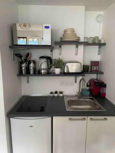 a kitchen with a sink and a counter top at Aix-les Bains in Aix-les-Bains +10 photos