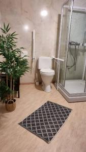 a bathroom with a toilet and a shower and a rug at Leirvik Vandrehjem in Leirvik