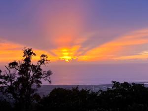 科纳Mango Sunset Bed and Breakfast的海面上的日落,在前方有一棵树