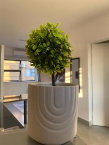 a white vase with a green plant in it at Urban & Comfortable Loft apartment in Mthatha in Mthatha