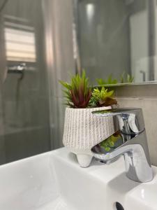 a bathroom sink with a faucet with a plant at Urban & Comfortable Loft apartment in Mthatha in Mthatha