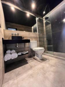 a bathroom with a toilet and a shower and a sink at Suites Isla Verde in La Rioja