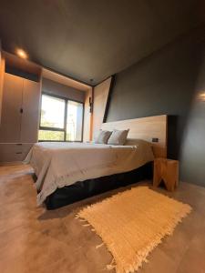 a bedroom with a large bed and a rug at Suites Isla Verde in La Rioja