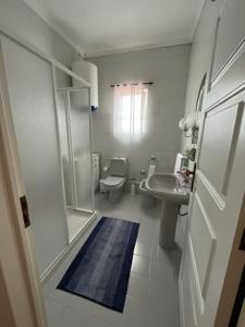a bathroom with a shower and a sink and a toilet at Quinta de Vale Escuro in Lousã