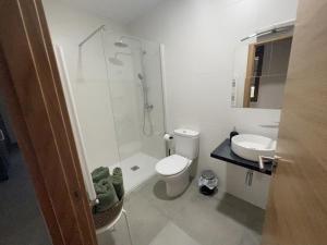 a bathroom with a shower and a toilet and a sink at APARTAMENTOS EL ROJU in Santillana del Mar