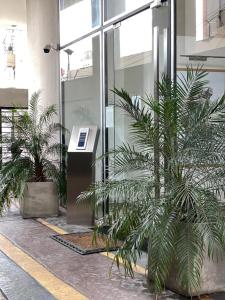 a group of palm trees in front of a building at Edificio 9 de Julio in San Miguel de Tucumán