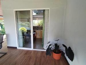 格雷西亚blanc haus的相册照片