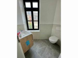 a bathroom with a toilet and a sink and a window at Private Room in the City Centre in Esch-sur-Alzette
