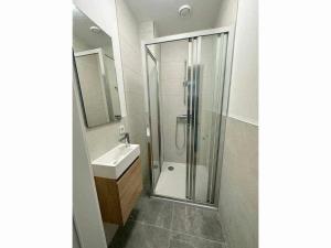 ein Bad mit einer Dusche und einem Waschbecken in der Unterkunft Private Room in the City Centre in Esch-sur-Alzette