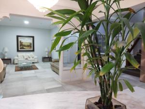 Gallery image of Miraflores Pacific Hotel in Lima