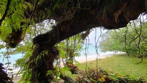 uma vista para a praia a partir de uma árvore em Serenity Treehouse em Port-Olry