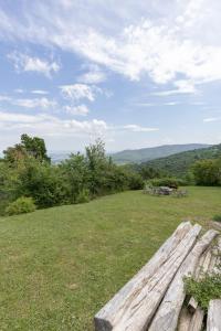 a wooden bench sitting on top of a field at La fonte di Gaiche in Piegaro