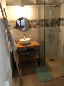 a bathroom with a sink and a mirror and a shower at Bungalow Candy avec piscine in Rivière-Salée +9 photos