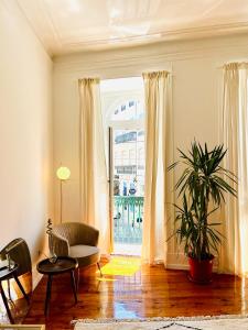 sala de estar con planta y ventana grande en Royal Prince Apartments - Jardim do Príncipe Real, en Lisboa