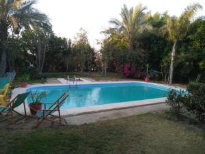 Fotografie z fotogalerie ubytování Sandorini country club v destinaci Banī Salāmah