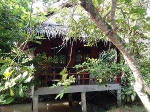a house with a thatched roof in the forest at Quoc Phuong Riverside Homestay in Ben Tre