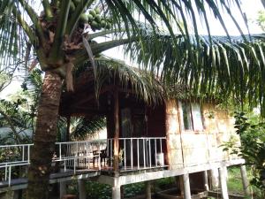 a house with a palm tree in front of it at Quoc Phuong Riverside Homestay in Ben Tre