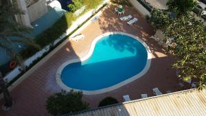 an overhead view of a large blue swimming pool at Apartamentos Maysan in Benidorm