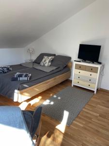 1 dormitorio con 1 cama y vestidor con TV en Peaceful Holiday Morningstar, en Würzburg