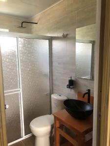 La salle de bains est pourvue de toilettes, d'un lavabo et d'une douche. dans l'établissement ESTACIÓN A - LOFT, à Santa Marta
