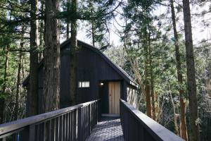 een zwarte hut in het bos met een houten loopbrug bij ECHO in Yonezawa